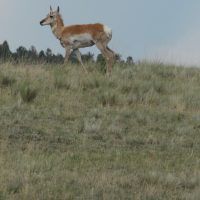 IMG_1694-crop