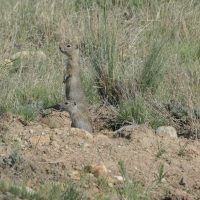 IMG_1852-crop