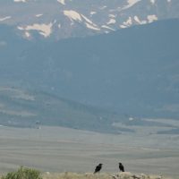 IMG_1865-crop