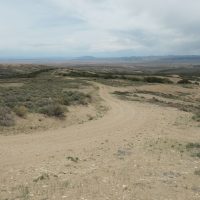 Sand Wash, too many mustangs have overgrazed land