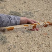 Sandstone magic wand with lichen