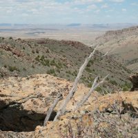 From the sky island to desert beyon