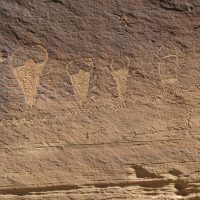 Petroglyphs of unknown creatures
