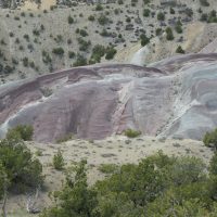 Jurassic Morrison formation, 150 million years old