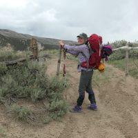 Chase opening barbed wire gate